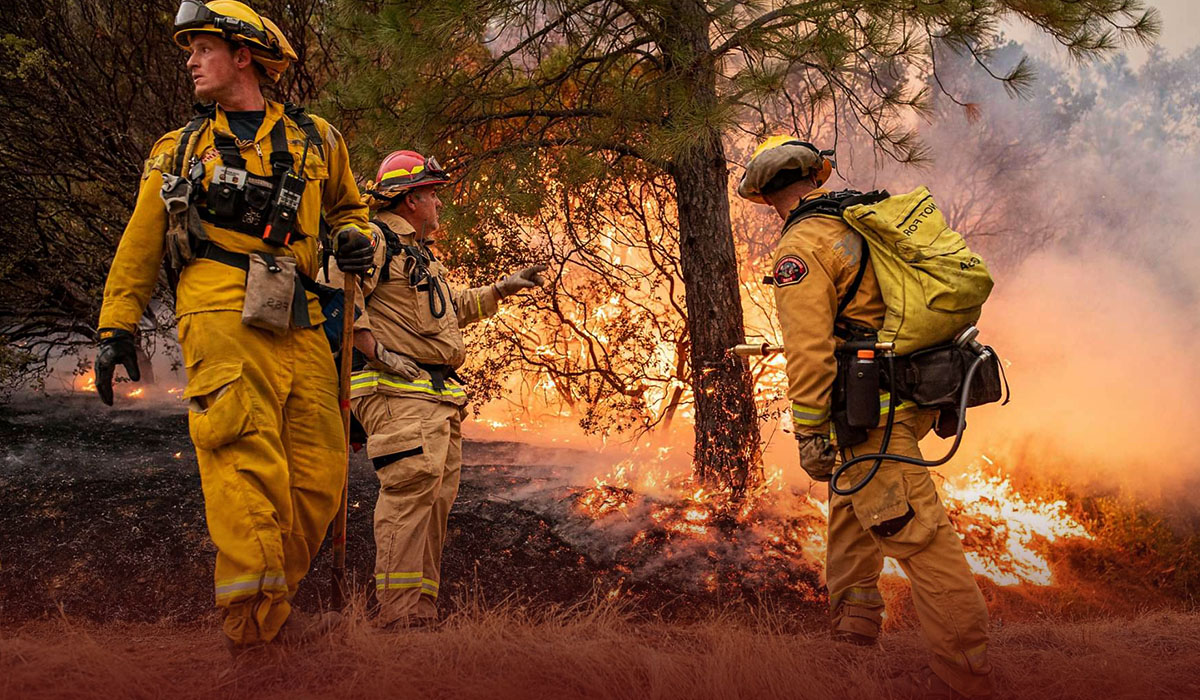 Montana Blaze-driven California Wildfire Threatening Towns