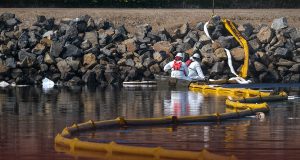 Oil Leak Reached Beaches, Wildlife along Southern California Coast