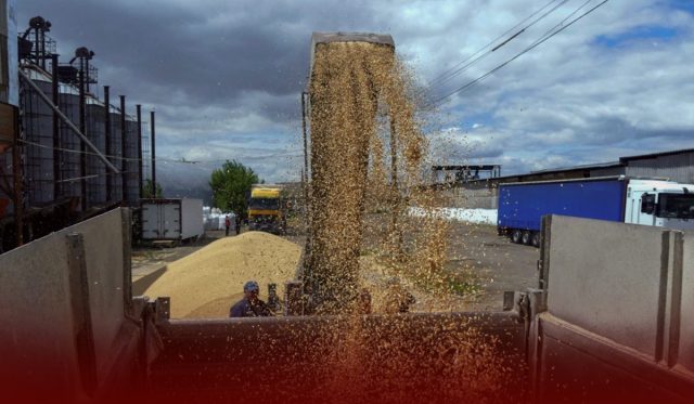 Ukraine Grain Exports Should Resume Within Days – U.N