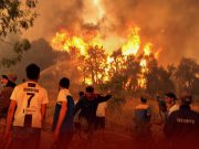 Algeria Forest Fires Leave at Least 26 Dead