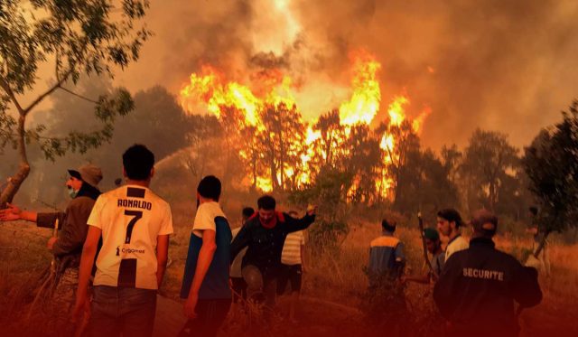 Forest Fires Left at Least 26 Dead in Eastern Algeria