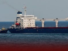 Ukrainian Cargo Ship Containing Grain Clears Inspection in Turkey